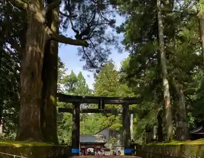 日光東照宮(栃木県)
