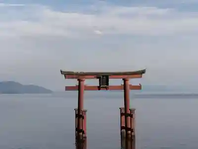 白鬚神社(滋賀県)