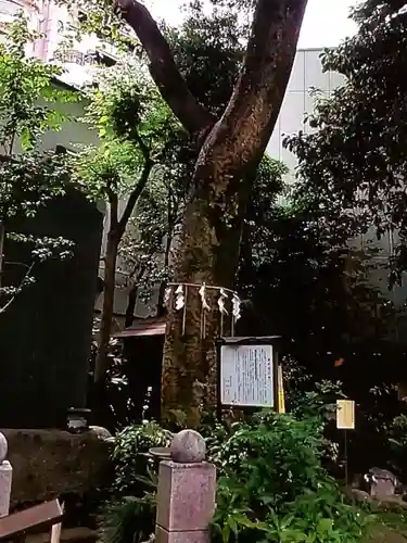 くまくま神社(導きの社 熊野町熊野神社)(東京都)