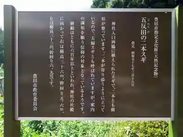 八幡神社(愛知県)