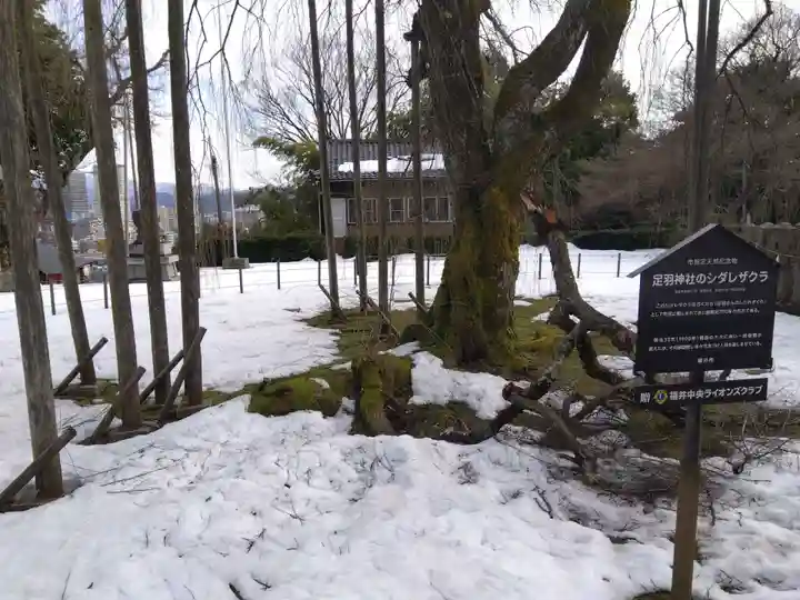 足羽神社(福井県)
