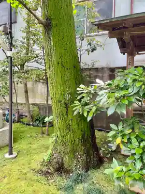於岩稲荷田宮神社(東京都)