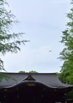 渋谷氷川神社(東京都)