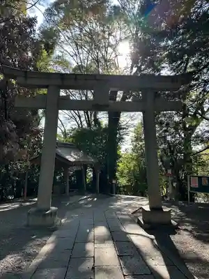 谷保天満宮の鳥居