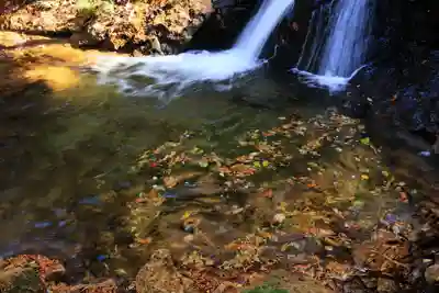 隠津島神社の自然