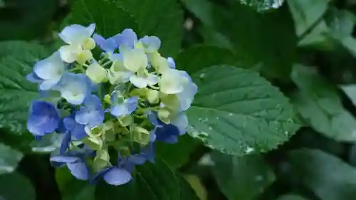 長谷寺(奈良県)