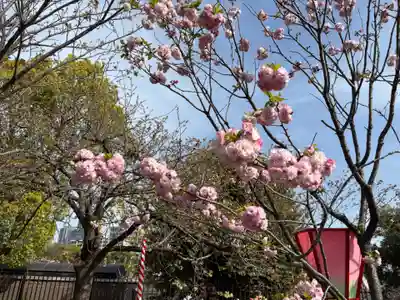 大阪天満宮(大阪府)