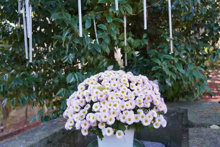 開成山大神宮の自然