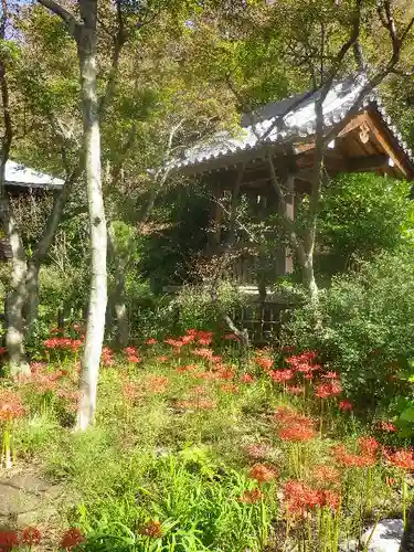 浄光明寺の庭園