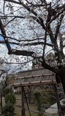 欣浄寺(京都府)