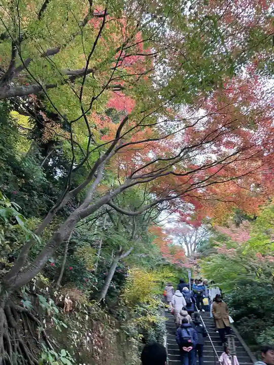 長谷寺(神奈川県)