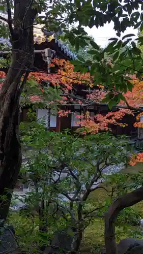 本法寺(京都府)