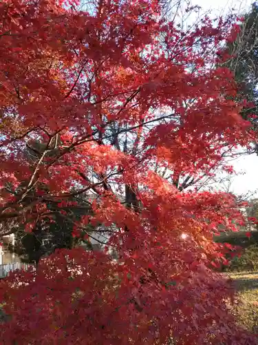 奥石神社の自然