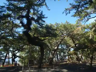 御穂神社(静岡県)