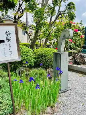 光明寺(栃木県)