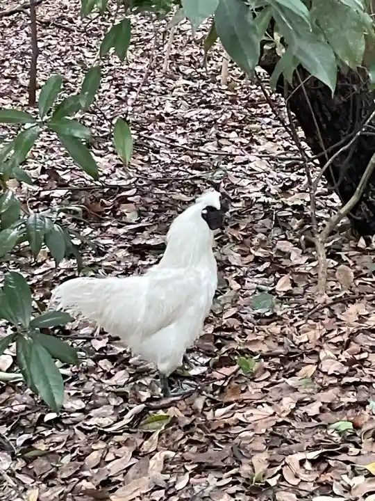 熱田神宮(愛知県)