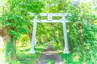 新羅神社(宮城県)