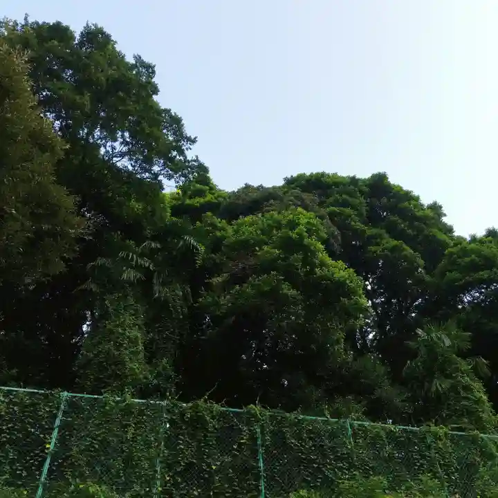 久國神社の自然