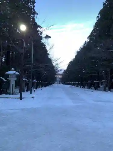 北海道神宮の景色