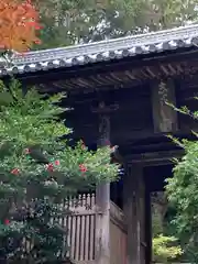 圓教寺(兵庫県)