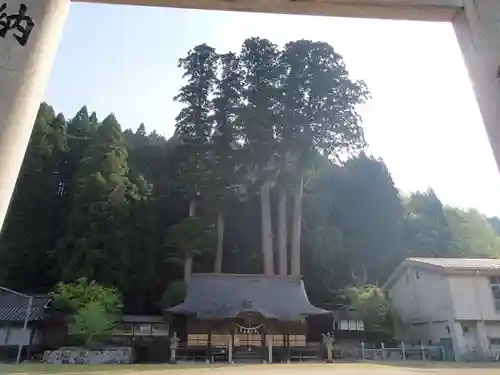 中和神社の建物その他