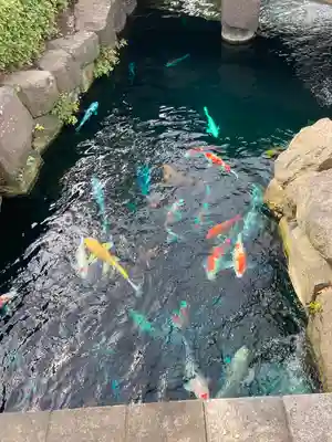浅草寺(東京都)
