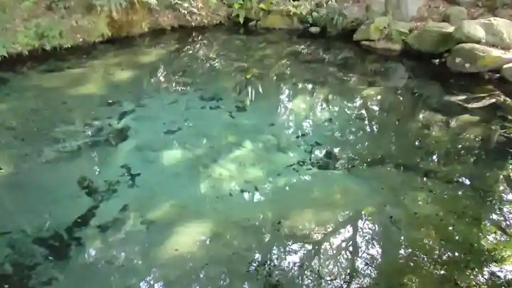 泉神社(茨城県)