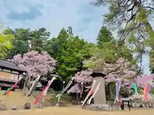 土津神社|こどもと出世の神さま(福島県)(2025年04月29日(火) 16時24分49秒投稿)