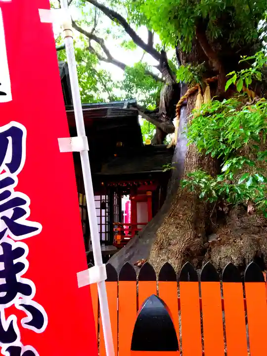 住吉大社(大阪府)