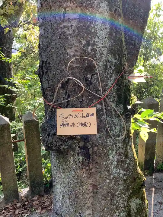 加茂神社の自然