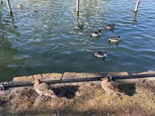 上野東照宮(東京都)