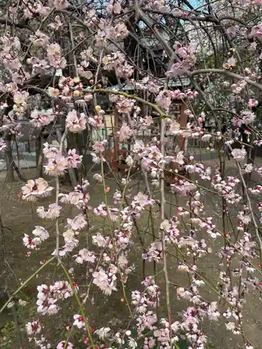 川口神社(埼玉県)