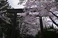 冨士御室浅間神社(山梨県)