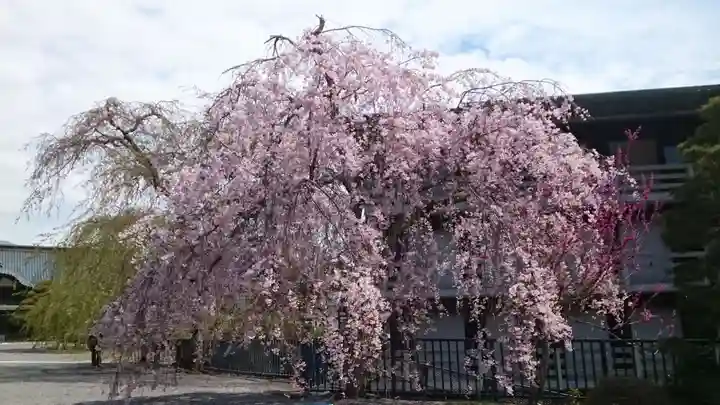 久遠寺(山梨県)