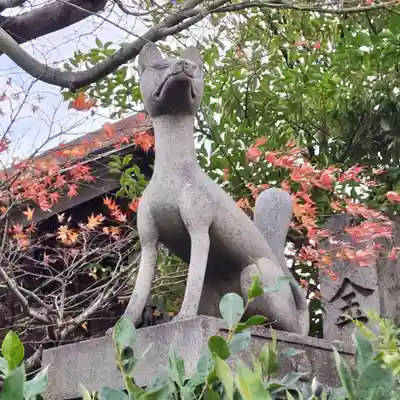 徳王稲荷社・金刀比羅社の狛犬