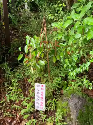 山神神社の自然