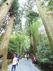 箱根神社(神奈川県)