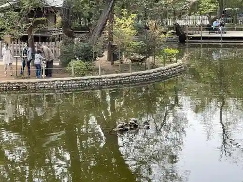 武蔵一宮氷川神社の庭園