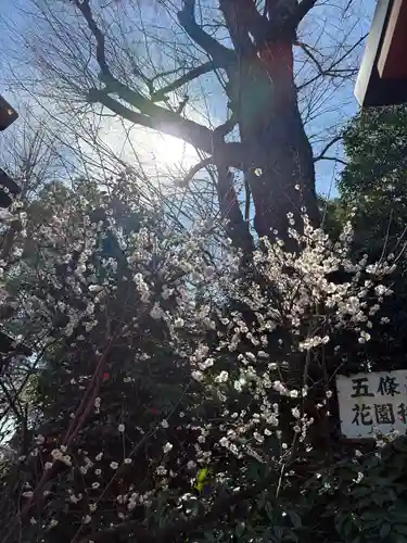 五條天神社(東京都)