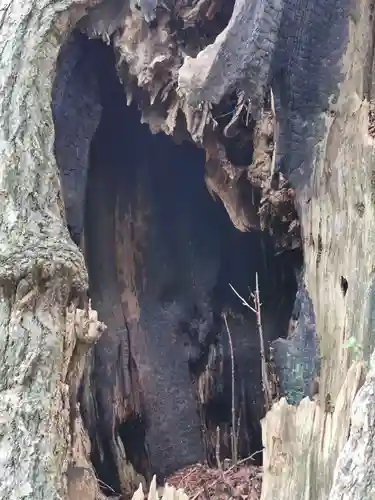 赤坂氷川神社(東京都)