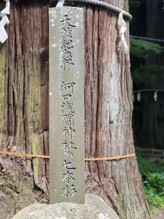 河口浅間神社(山梨県)