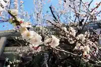 くまくま神社(導きの社 熊野町熊野神社)の自然
