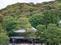 知恩院の{uncategorized: "未分類", other: "その他", undefined: "問題あり", building: "その他建物", grave: "お墓", sacred_gate: "鳥居", guardian: "狛犬", statue: "像", buddha: "仏像", history: "歴史", nature: "自然", garden: "庭園", animal: "動物", pagoda: "塔", temizu: "手水舎", mountain_gate: "山門・神門", sanctuary: "本殿・本堂", subordinate: "末社・摂社", art: "芸術", scenery: "景色", jizo: "地蔵", ema: "絵馬", goshuin: "御朱印", omikuji: "おみくじ", items: "授与品その他", amulet: "お守り", goshuincho: "御朱印帳", eats: "食事", festival: "お祭り", votive_dance: "神楽", shichigosan: "七五三参", wedding: "結婚式", experience: "体験その他", initially: "初詣", around: "周辺", anti_infection: "感染症対策"}