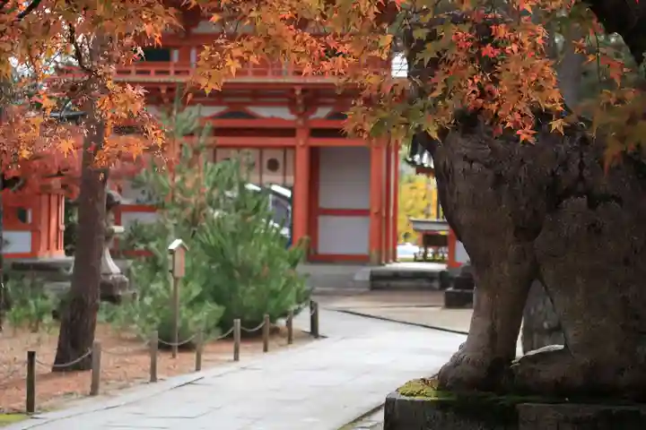今宮神社の狛犬
