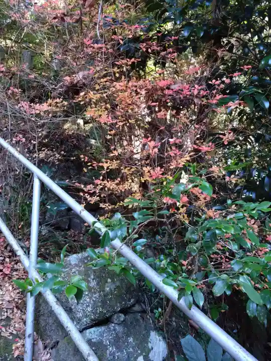 国造神社(熊本県)