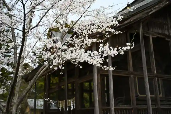 蒼柴神社(新潟県)
