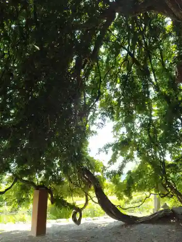 深山神社(福島県)