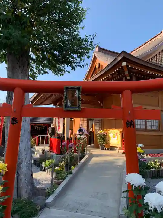 於菊稲荷神社の鳥居