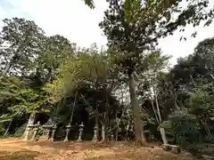 稚櫻神社(奈良県)