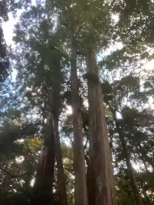 伊勢神宮内宮（皇大神宮）(三重県)